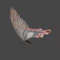 Game Movie Character Butterfly with Black Orange Wing Patterns and Detailed Design