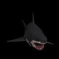 Mighty Shark With Dark Skin Sharp Teeth And Dorsal Fin Swimming In Deep Ocean