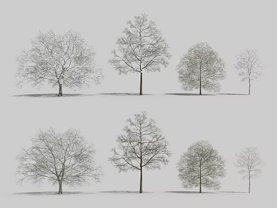 Different Types of Trees with Various Crown Shapes and Silhouettes Arranged in Rows 3d model