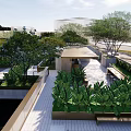 Lush Courtyard Garden With Green Plants Stone Paved Path And Modern Building View
