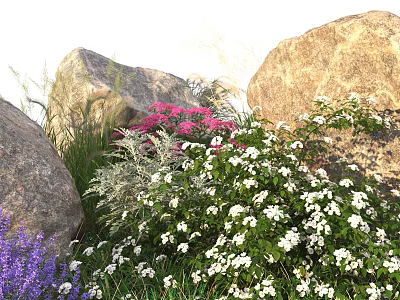 White Flowering Shrub with Green Foliage Pink Blooms and Large Rocks 3d model White Flowering Shrub with Green Foliage Pink Blooms and Large Rocks 3d model
