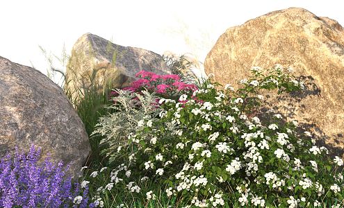 Modern shrubs 3d model