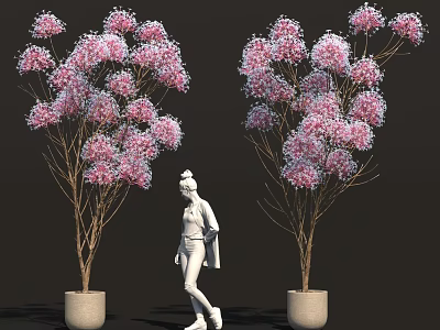 Pink Flowering Trees With White Silhouette Figure Standing Between Concrete Planters 3d model