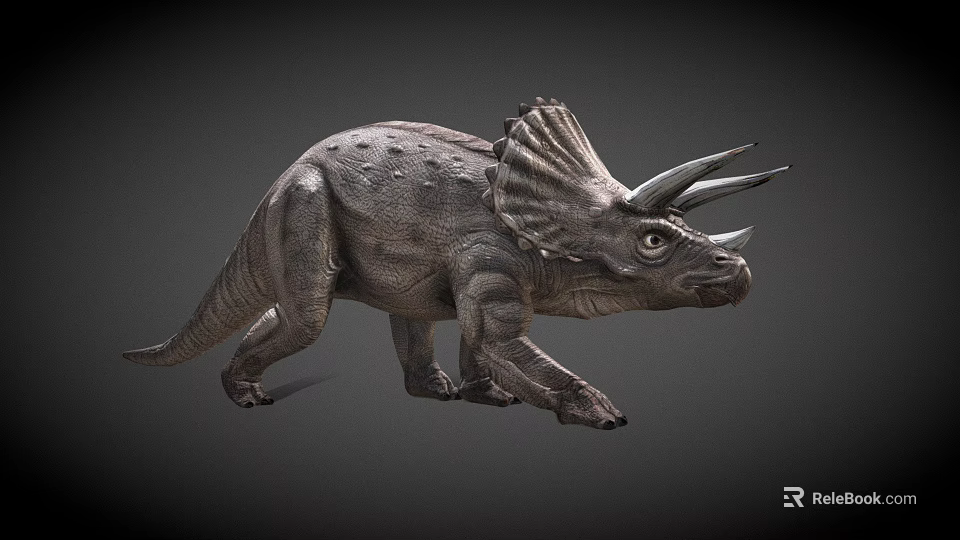 Realistic Triceratops 3D Rendered Game Movie Character With Large Horns Frilled Neck Detailed Skin Texture 3d model 