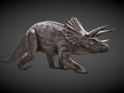 Realistic Triceratops 3D Rendered Game Movie Character With Large Horns Frilled Neck Detailed Skin Texture 3d model
