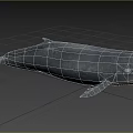 Gray Whale Lying On Green Grassy Field Natural Habitat Scene View
