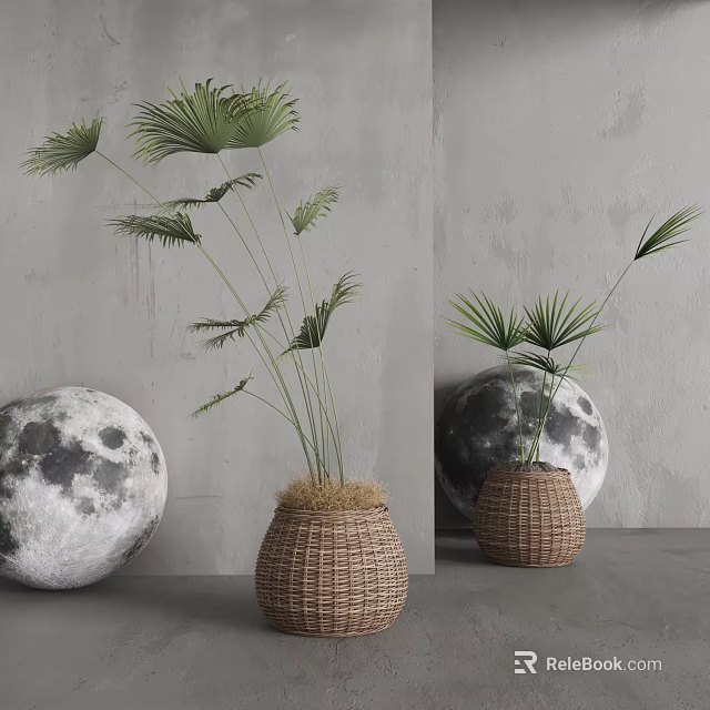 Modern Bonsai Potted Plants With Palm Leaves In Wicker Baskets Home Decor 3d model 