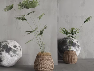 Modern Bonsai Potted Plants With Palm Leaves In Wicker Baskets Home Decor 3d model