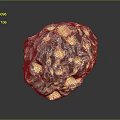 Unique Transparent Wooden Stone With Golden Specks And Irregular Holes On Dark Background