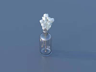 Decorative Ornament Set With Transparent Glass Bottle And White Cotton Like Decorations 3d model