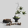 Minimalist Decorative Ornament Set With Green Plant Black Vase And Nut Bowl