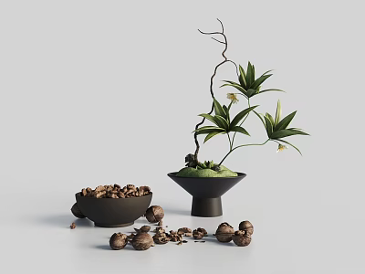 Minimalist Decorative Ornament Set With Green Plant Black Vase And Nut Bowl 3d model