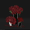Arrangement of Red Hydrangeas in Glass and Ceramic Vases on Dark Background
