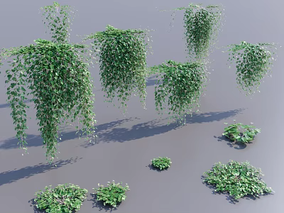 Various Lush Hanging Basket Plants With Trailing Green Leaves And Foliage 3d model