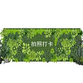 Lush Green Wall Photo Check In Spot With Vibrant Foliage And Potted Plants