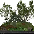 Vibrant Mixed Shrubs in Garden Landscape with Lush Foliage and Ornamental Stones