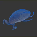 Detailed Brown Wooden Beetle Model With Realistic Body Texture And Legs