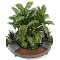 Modern Garden Decor With Tall Palm Plant Small Green Plants Curved Concrete Wooden Planter