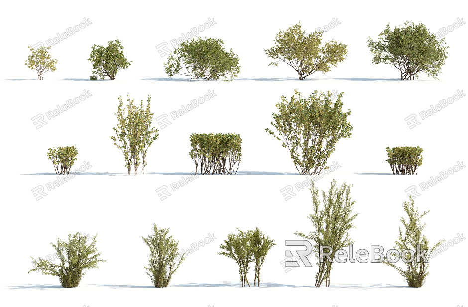 Modern shrubs model