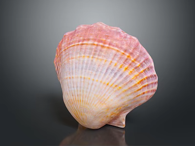 Artistic Shell Sculpture Carving With Detailed Pink Orange Stripes On Black Background 3d model