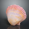 Artistic Shell Sculpture Carving With Detailed Pink Orange Stripes On Black Background