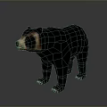 Realistic Black Bear With Brown Face And Chest Standing On Gray Gradient Background 3d model