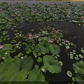 Hinged Patio Doors With Serene Lotus Pond View And Green Lily Pads