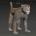 Modern macaque Rhesus monkey yellow monkey old green monkey Guangxi monkey animal creatures 3d model