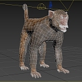 Modern macaque Rhesus monkey monkey monkey monkey yellow monkey monkey old green monkey Guangxi monkey animal creatures 3d model