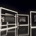 Elegant Modern Display Cabinets With LED Lighting And Artwork Exhibits 3d model