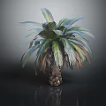 Palm Tree Featuring Green And Blue Green Fronds With Brown Scaly Trunk Base