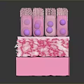 3D Rendered Biological Culture Structure with Transparent Tubes Purple Spheres and Textured Pink Base
