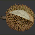 Fresh Whole and Halved Durian with Exposed White Flesh Close Up View