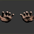 Two Open Human Hands Showing Palms And Fingers On Gray Background With Reflection 3d model