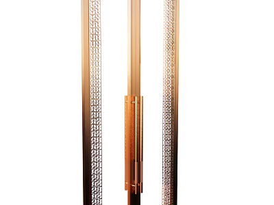 Double Doors With Gold Frame And Patterned Panels For Modern Interior Design 3d model