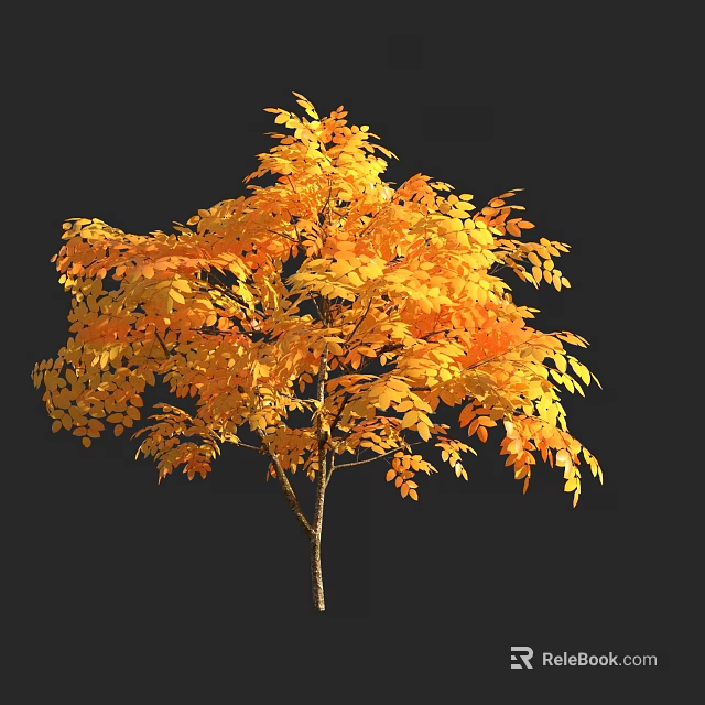 Golden Yellow Autumn Tree With Lush Branches And Vibrant Leaves Against Black Background 3d model 