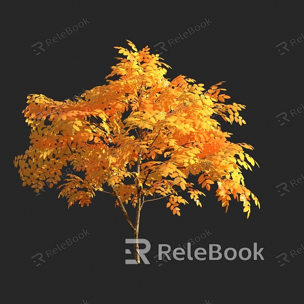 autumn tree yellow leaf plant model