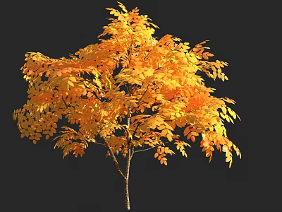 Golden Yellow Autumn Tree With Lush Branches And Vibrant Leaves Against Black Background 3d model