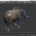Large Gray Elephant With Wrinkled Skin Long Trunk And White Tusks