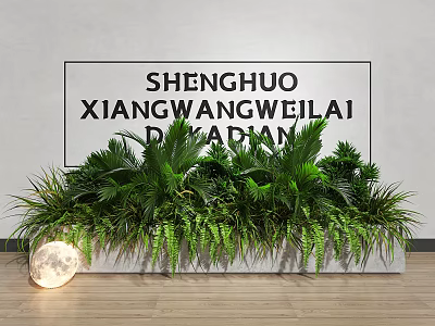 Various Lush Green Bonsai Potted Plants In Row With Ferns Palms And Round Ornament 3d model