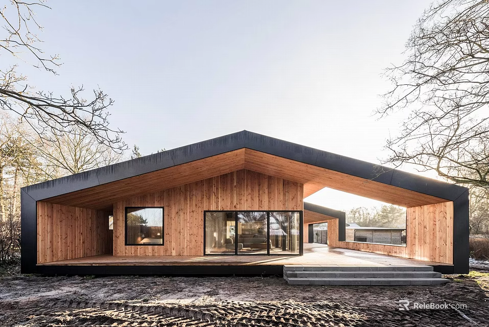 Modern Detached House With Wooden Exterior Black Roof Large Windows And Natural Surroundings 3d model 