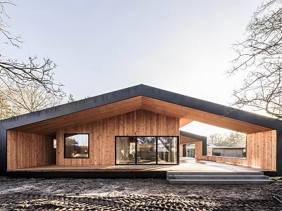 Modern Detached House With Wooden Exterior Black Roof Large Windows And Natural Surroundings 3d model
