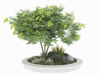 Round Concrete Flower Planter With Green Leaf Tree Small Plants And Stones 3d model