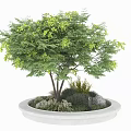 Round Concrete Flower Planter With Green Leaf Tree Small Plants And Stones