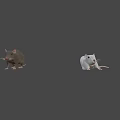 Detailed Realistic Gray And White Mice Figurines With Lifelike Features On Black Background
