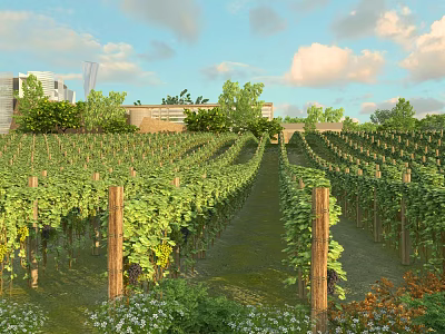 Garden Landscape Design With Vineyards Green Vines Wooden Posts Grass Path And Modern Building 3d model