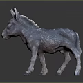 3D Model Gray Donkey Foal Standing On Dark Background With Shiny Coat