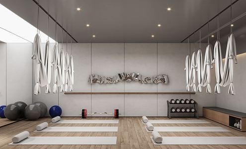 Modern Yoga Studio Yoga Classroom 3d model