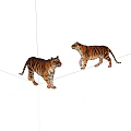 Two Realistic Tiger Models Standing On White Background With Detailed Stripes 3d model