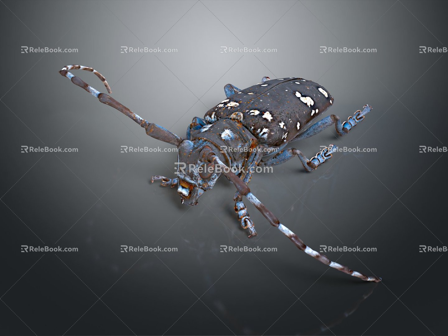 Modern celestial beetle Chinese star beetle blue spot star beetle beetle beetle 3d model